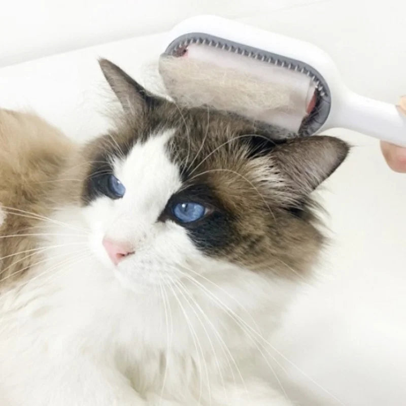 Pente removedor de pelos PET